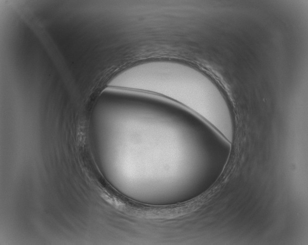 X0000083620017200702120801
