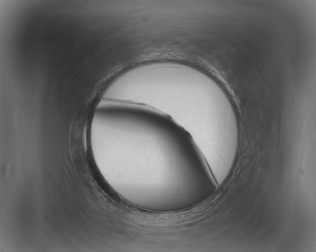 X0000083620019200702120801