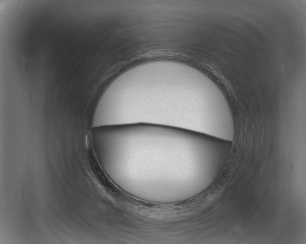 X0000083620024200702120801