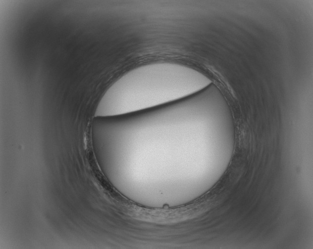 X0000083620026200702120801