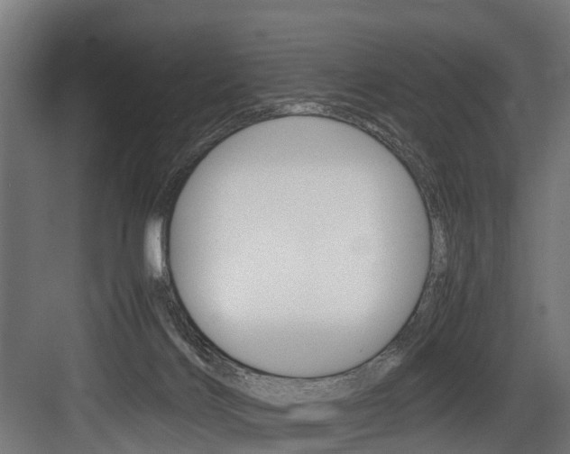 X0000083620028200702120801