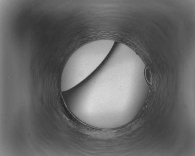 X0000083620032200702120801
