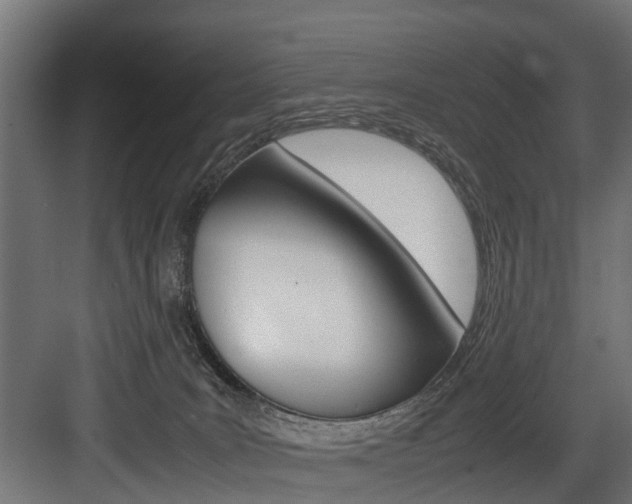 X0000083620035200702120801