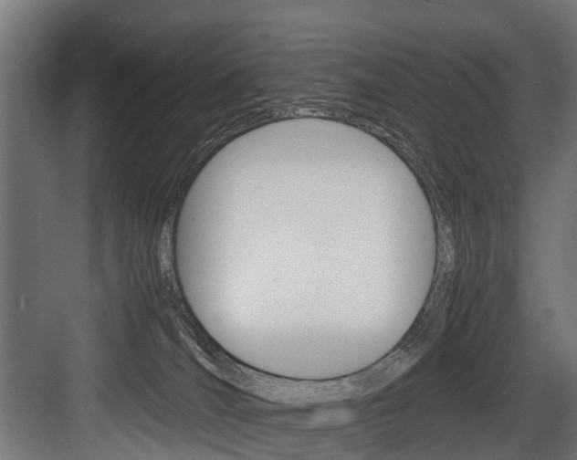 X0000083620036200702120801