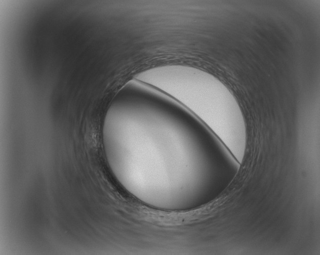 X0000083620039200702120801