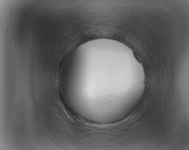 X0000083620040200702120801