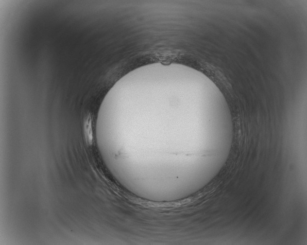 X0000083620042200702120801