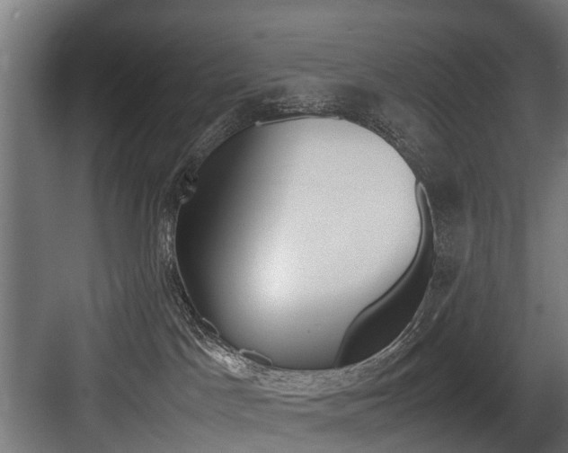 X0000083620045200702120801