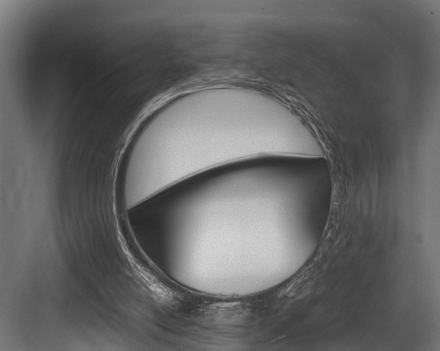 X0000083620054200702120800