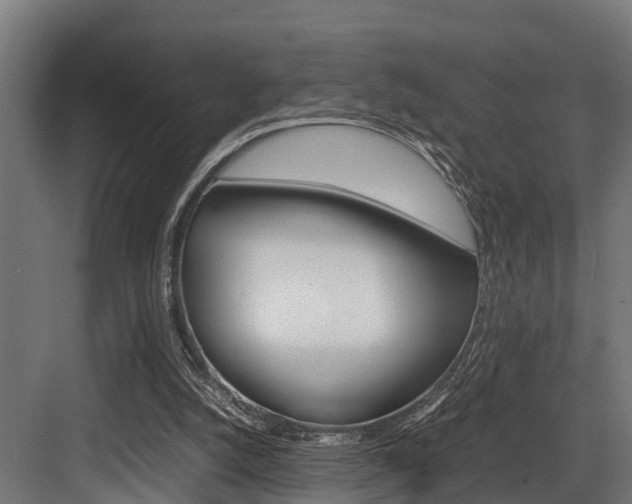 X0000083620056200702120800