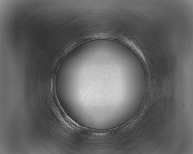 X0000083620057200702120800
