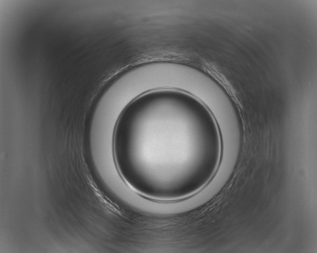 X0000083620058200702120800