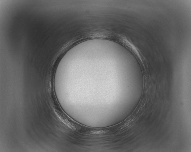 X0000083620059200702120800