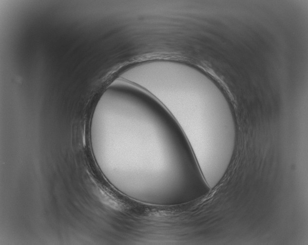X0000083620062200702120800