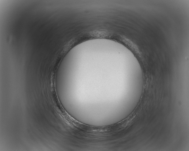 X0000083620065200702120800
