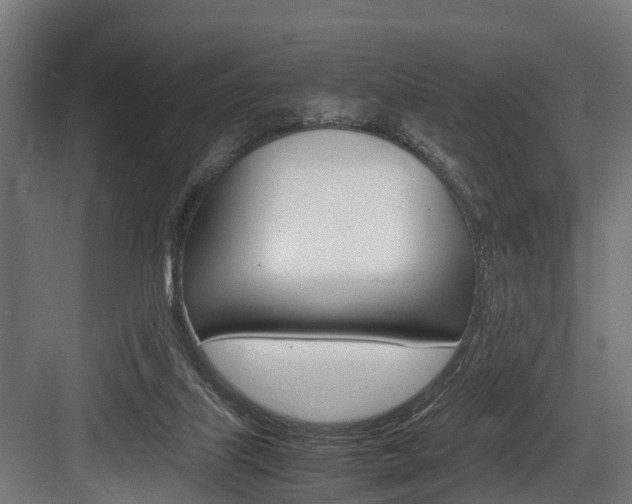 X0000083620067200702120800