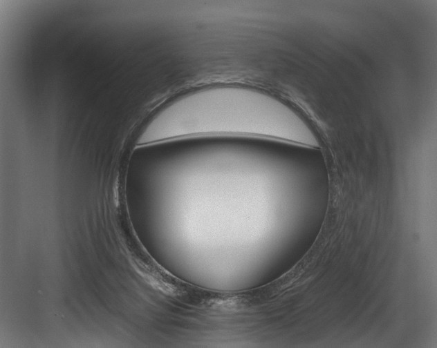 X0000083620068200702120800