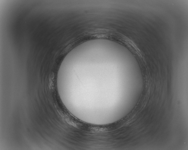 X0000083620073200702120800