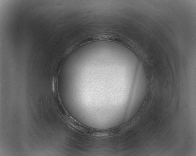 X0000083620075200702120800