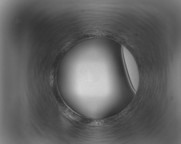 X0000083620080200702120800