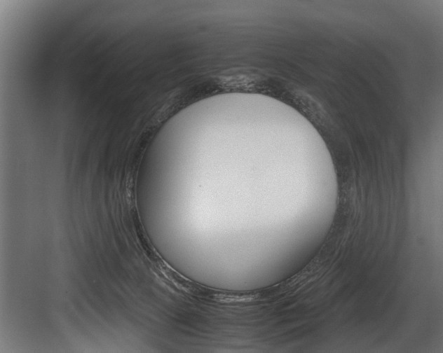 X0000083620081200702120800
