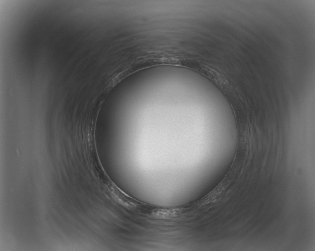 X0000083620084200702120800