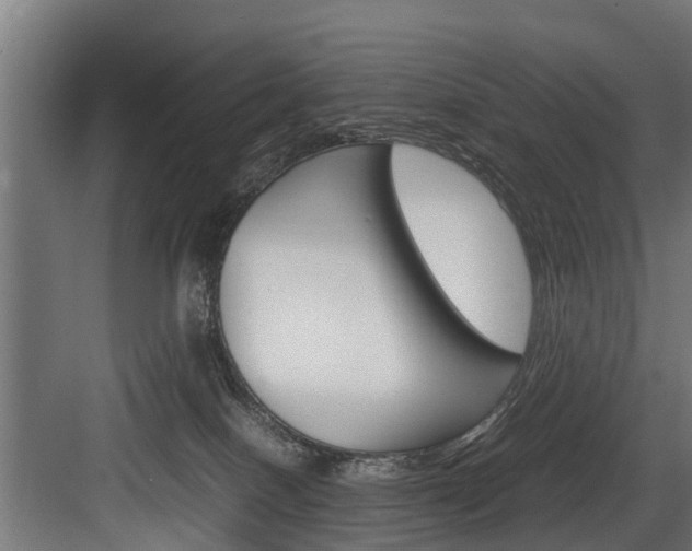 X0000083620086200702120800