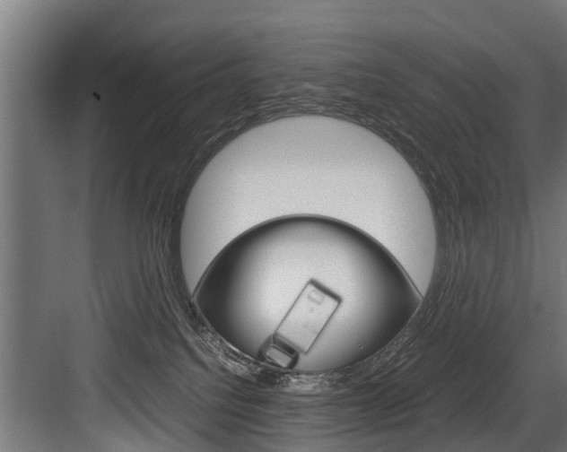 X0000083620088200702120800