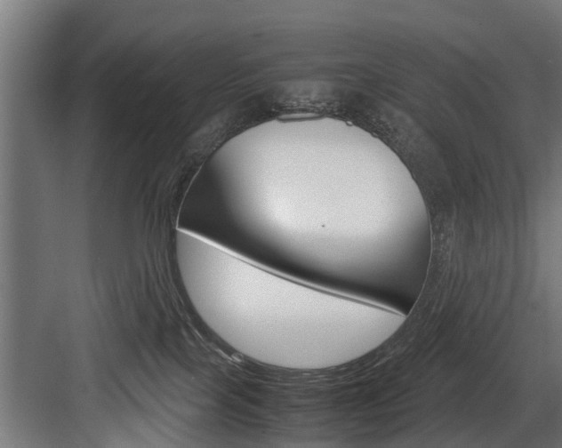 X0000083620089200702120800