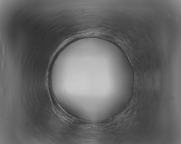 X0000083620100200702120800
