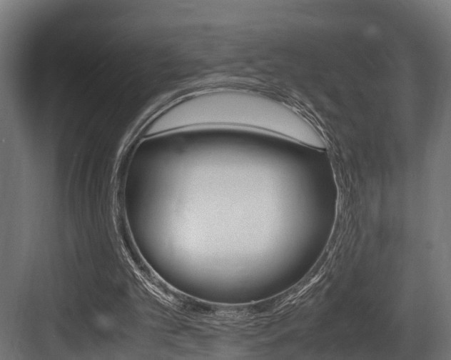 X0000083620101200702120800