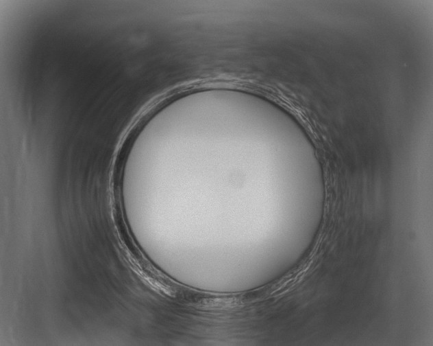X0000083620102200702120800