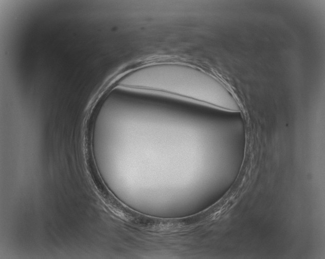 X0000083620103200702120800