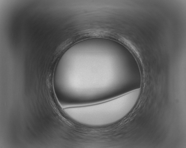 X0000083620105200702120800