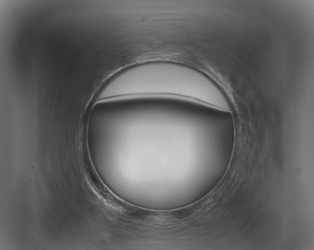 X0000083620107200702120800