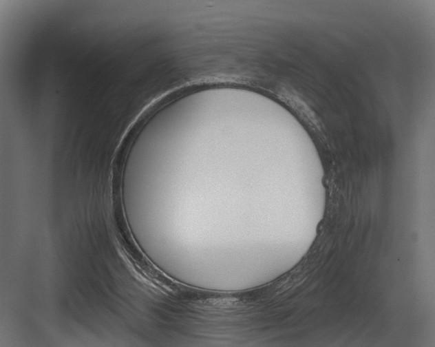 X0000083620108200702120759