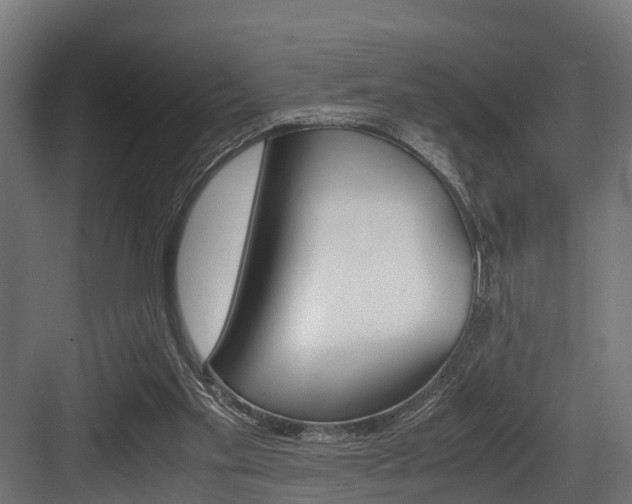 X0000083620109200702120759
