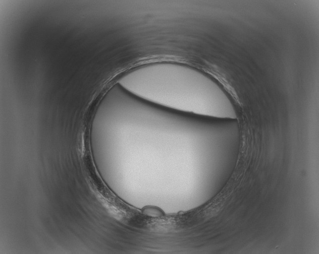 X0000083620110200702120759