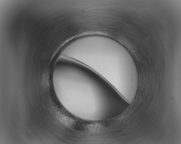 X0000083620112200702120759