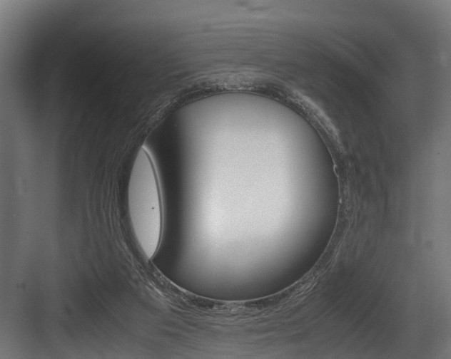 X0000083620113200702120759