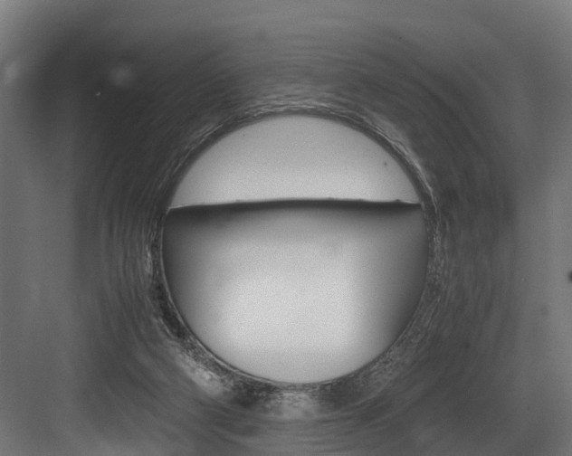 X0000083620114200702120759