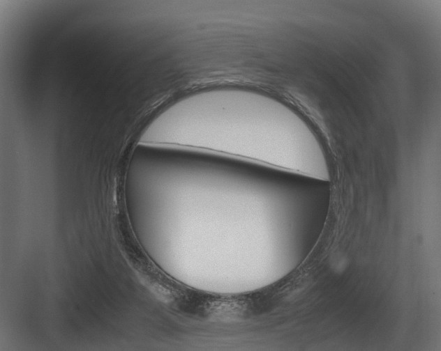 X0000083620115200702120759