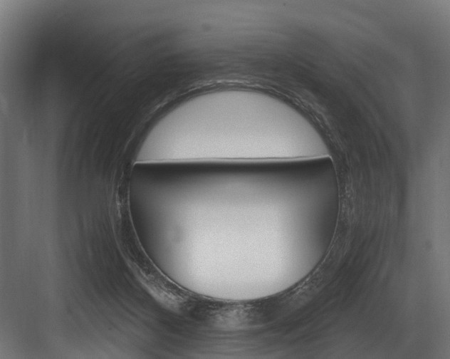 X0000083620116200702120759