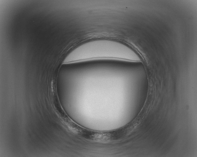 X0000083620117200702120759