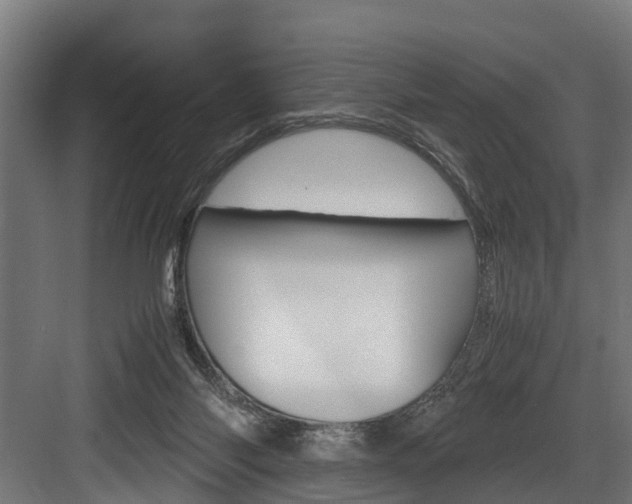 X0000083620118200702120759