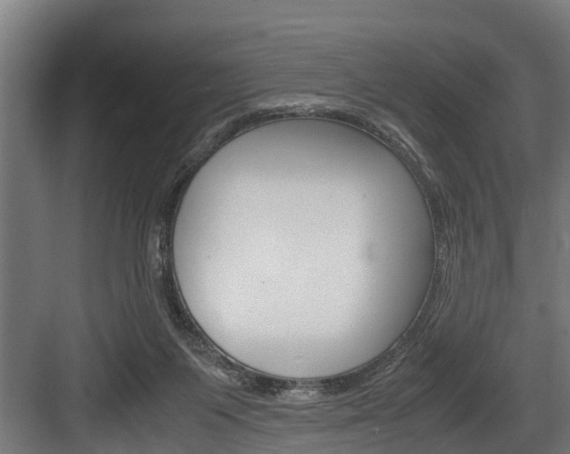 X0000083620119200702120759