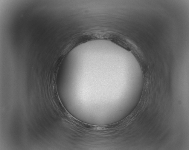 X0000083620121200702120759