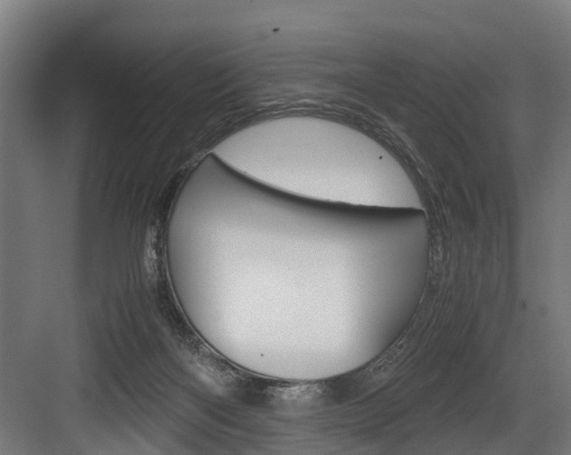 X0000083620122200702120759