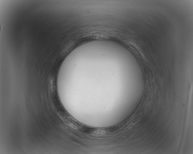 X0000083620123200702120759