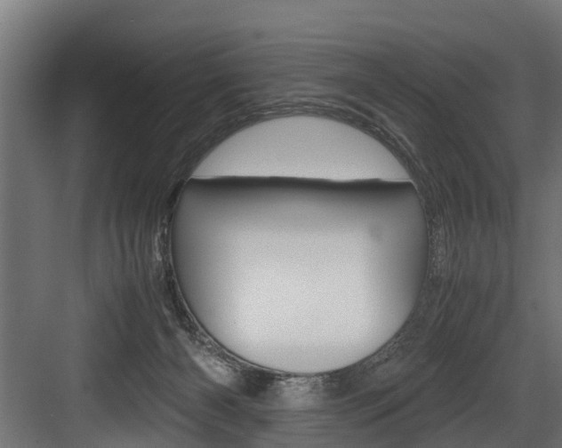 X0000083620126200702120759